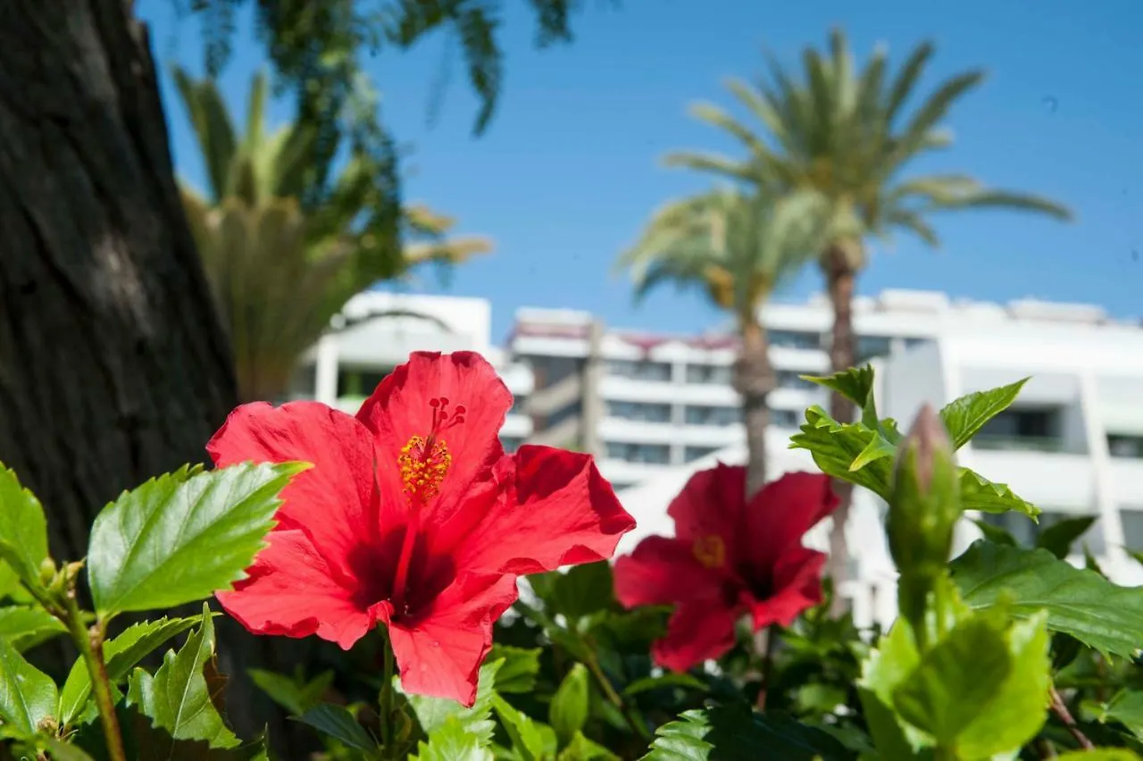 Apartamento Optimist 1 Playa de las Américas